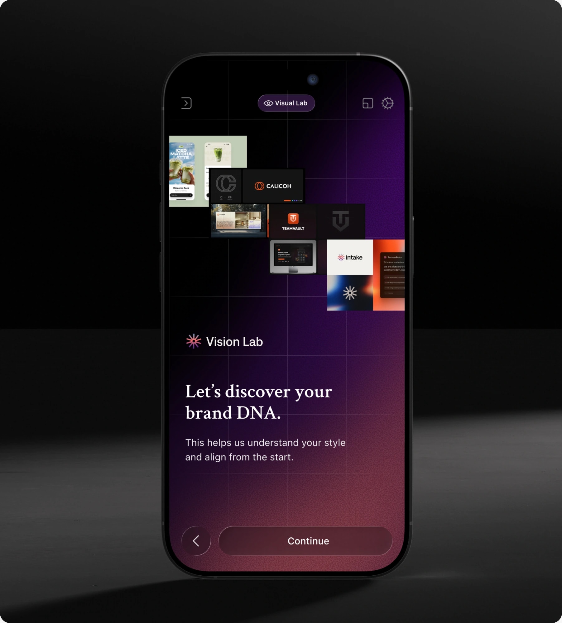 Intake visual discovery on a phone